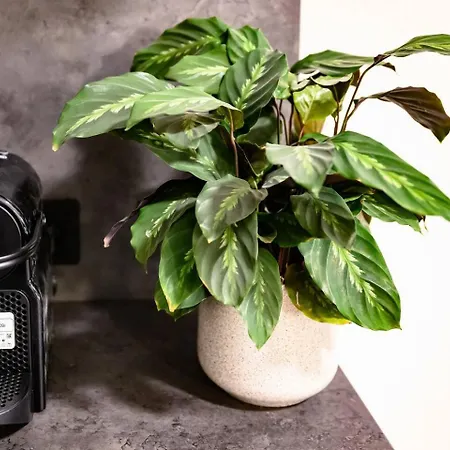 Cozy In Prenzlauer Berg Apartmán Berlín