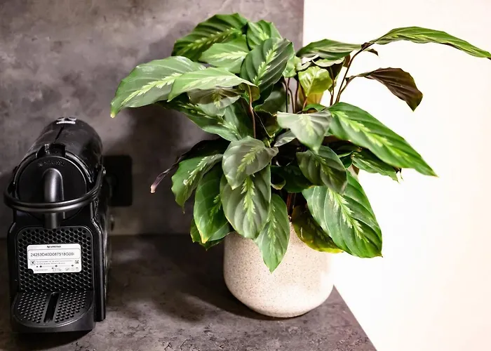 Cozy In Prenzlauer Berg Apartamento Berlín