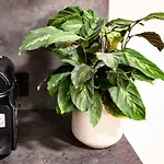 Cozy In Prenzlauer Berg Apartman Berlin